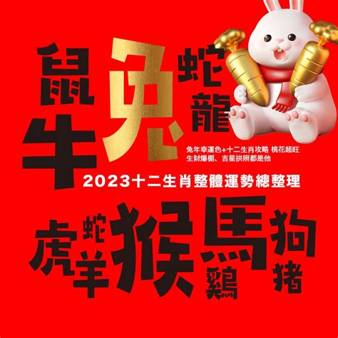 2023兔年幸運色|2023兔年十二生肖幸運色公開！日本命理師揭密3顏色。